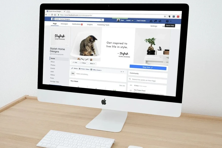 ¿Cómo crear una estrategia de marketing de contenidos para una startup de servicios?