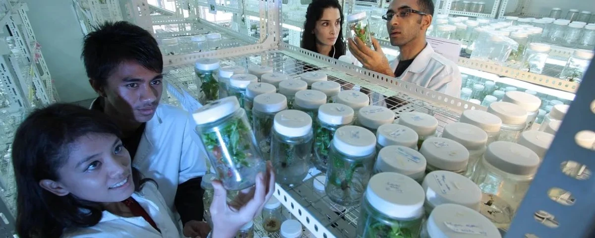 Seis de cada diez empresas españolas invierten el 10% de su prespuesto en innovación en sostenibilidad