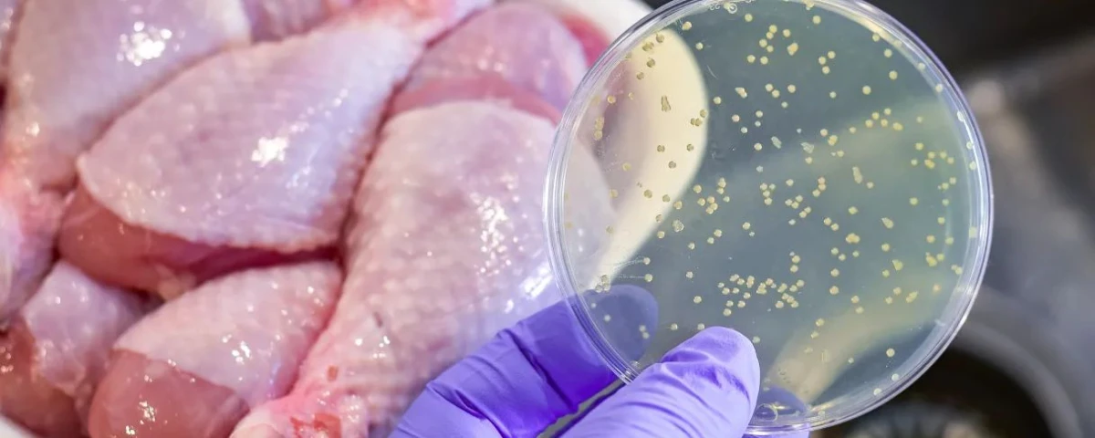 Startup chilena crea tecnología contra bacterias que descomponen alimentos