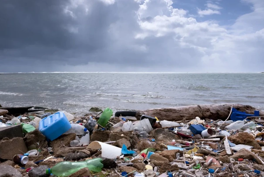 Startup española compensará su necesario uso de plástico con la protección y concienciación medioambiental  