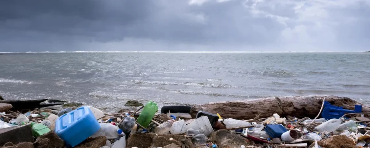 Startup española compensará su necesario uso de plástico con la protección y concienciación medioambiental  
