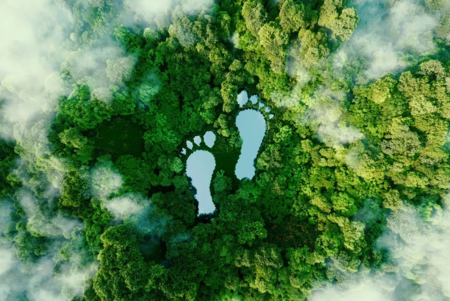 Startup chilena crea herramienta para medir huella de carbono