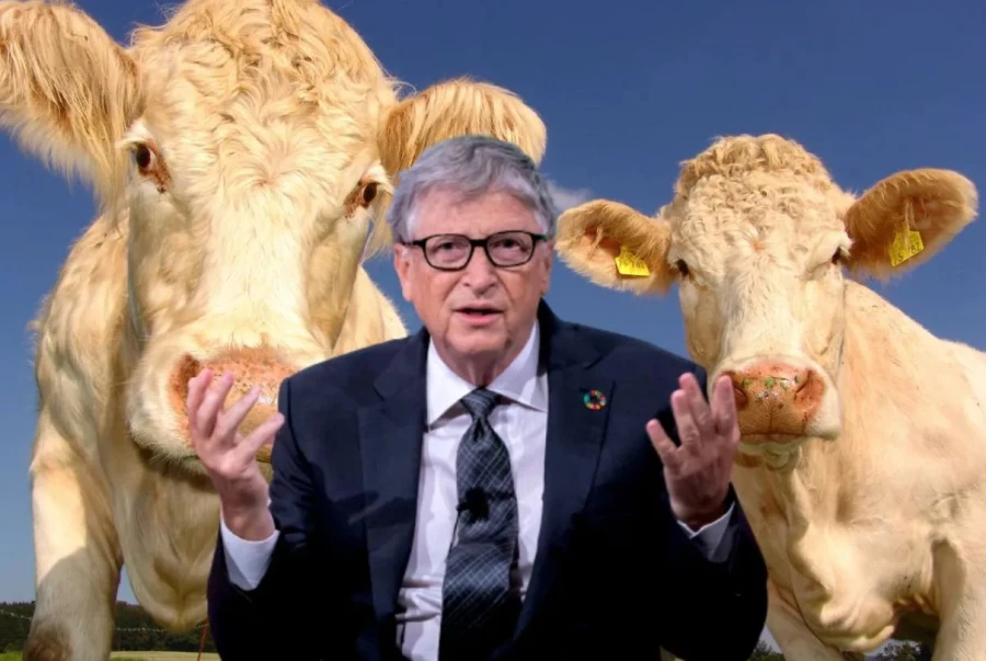Bill Gates invierte en una startups que trabaja en la reducción de los gases de las vacas