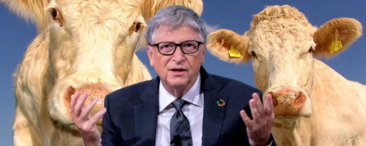 Bill Gates invierte en una startups que trabaja en la reducción de los gases de las vacas