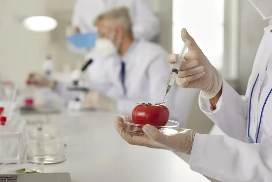 El ecosistema Foodtech español logra una inversión de 226 millones de euros en 2023