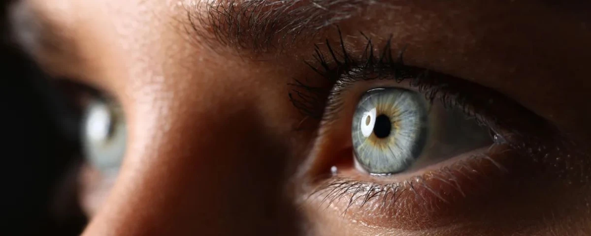 IRISBOND abre una ronda de crowdlending con Bolsa Social 