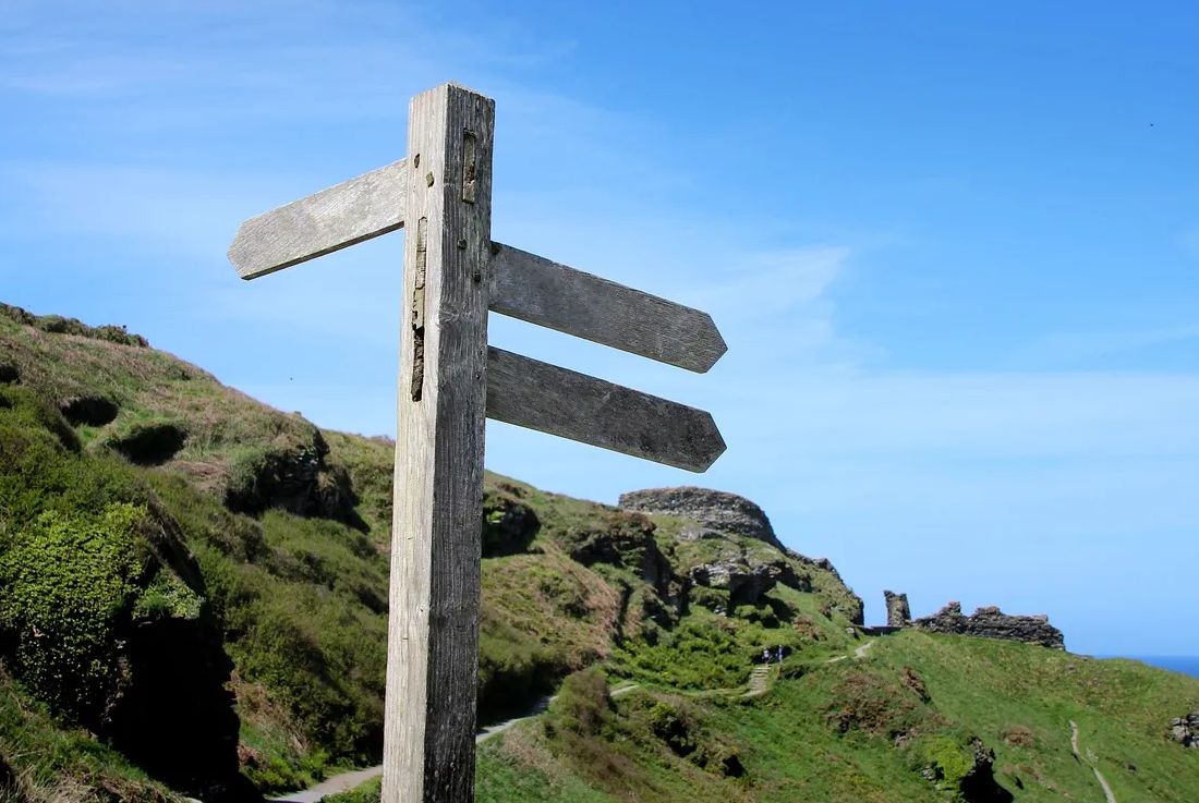 La neurociencia como aliada estratégica en la toma de decisiones empresariales