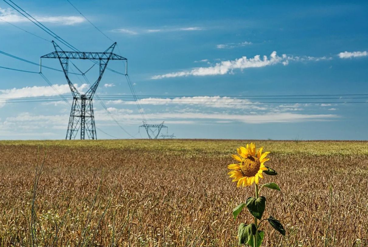 La importancia de la sostenibilidad en el desarrollo de productos para startups