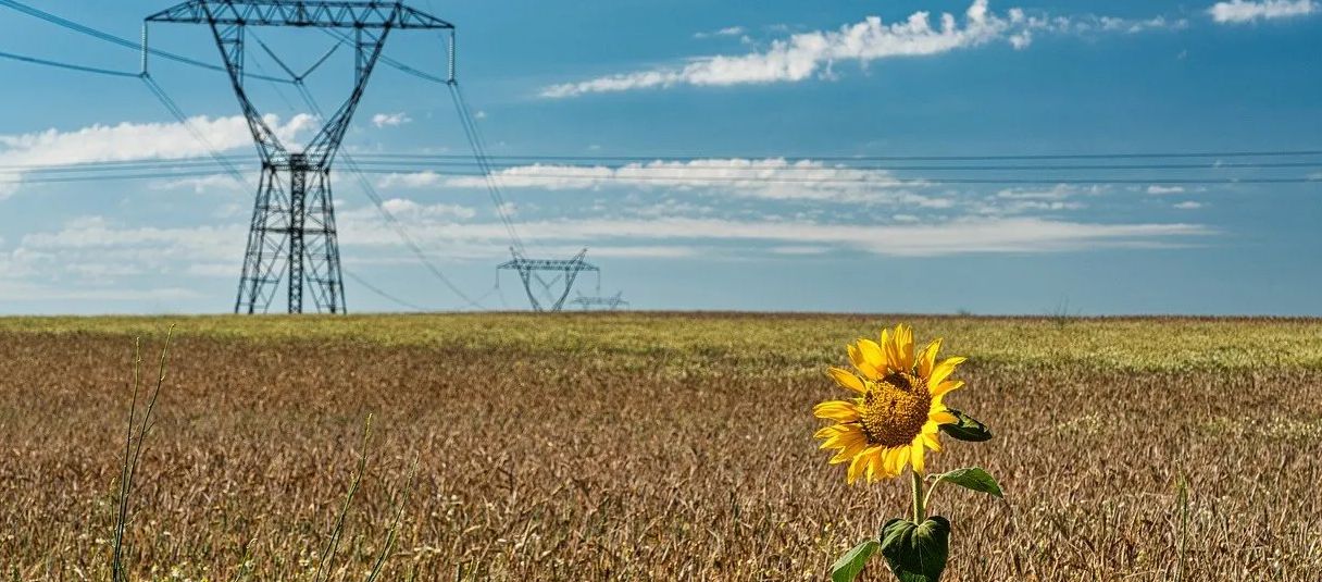 La importancia de la sostenibilidad en el desarrollo de productos para startups