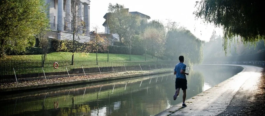 La motivación a prueba de crisis: cómo mantenerse firme cuando el éxito parece lejano
