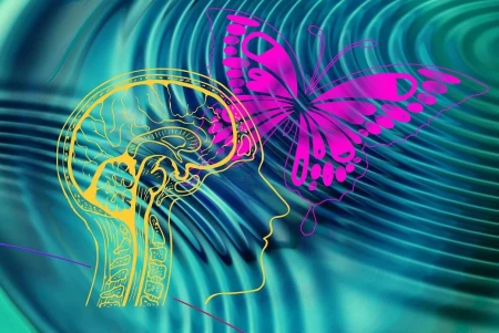 Psicología del rechazo en el emprendedurismo: una mirada desde la neurociencia y la gestión