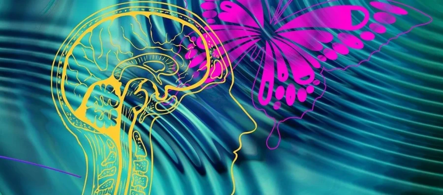 Psicología del rechazo en el emprendedurismo: una mirada desde la neurociencia y la gestión