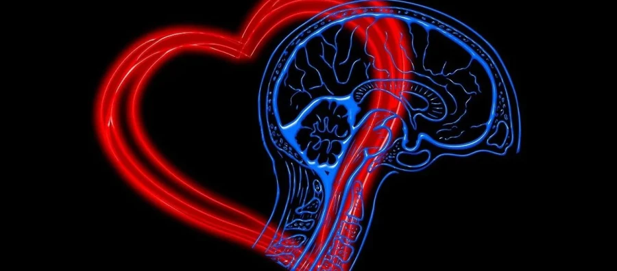 Cómo la inteligencia emocional marca la diferencia en la gestión de startups
