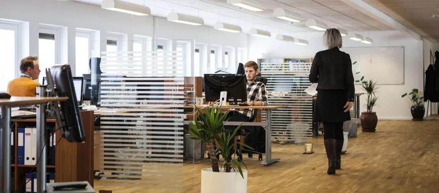 El impacto de la cultura empresarial en la motivación del equipo: casos y estrategias