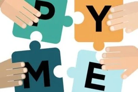 La gestión del flujo de caja como estrategia clave para la supervivencia de las pymes en España