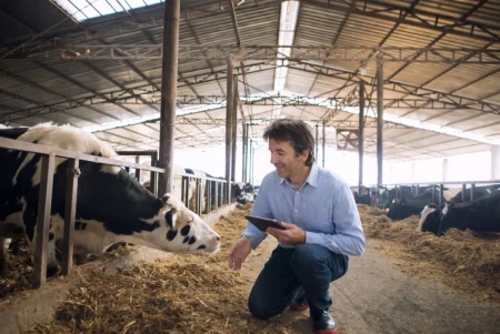 La séptima edición de los Premios +50 Emprende impulsa proyectos sostenibles y verdes